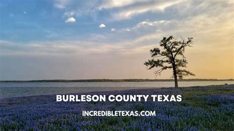 10 Best Things to Do in Burleson, TX (for 2024).
